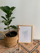 Load image into Gallery viewer, Line Monstera 11”x14”