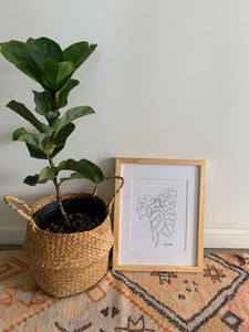 Line Monstera 11”x14”